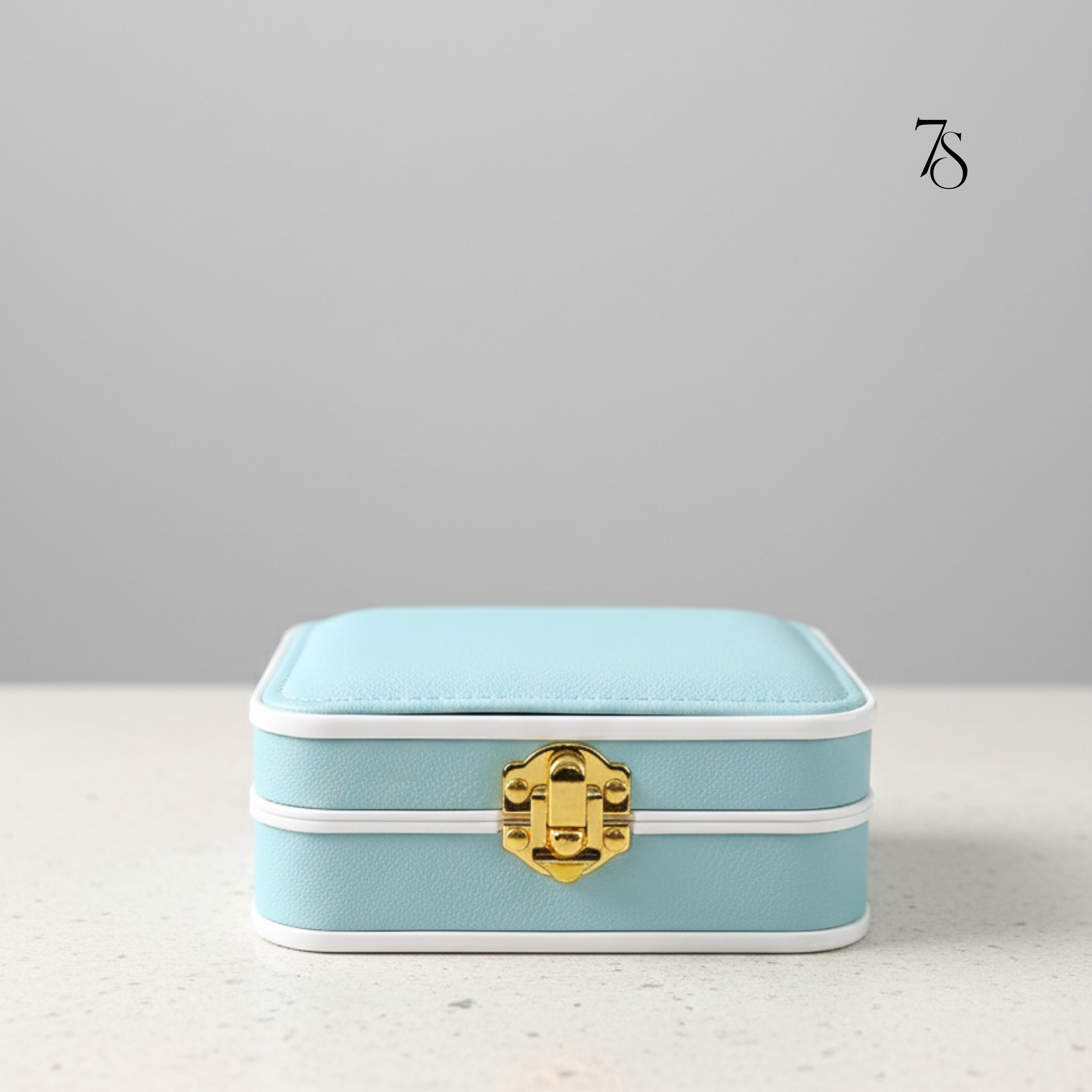 Essential Travel Jewellery Organizer