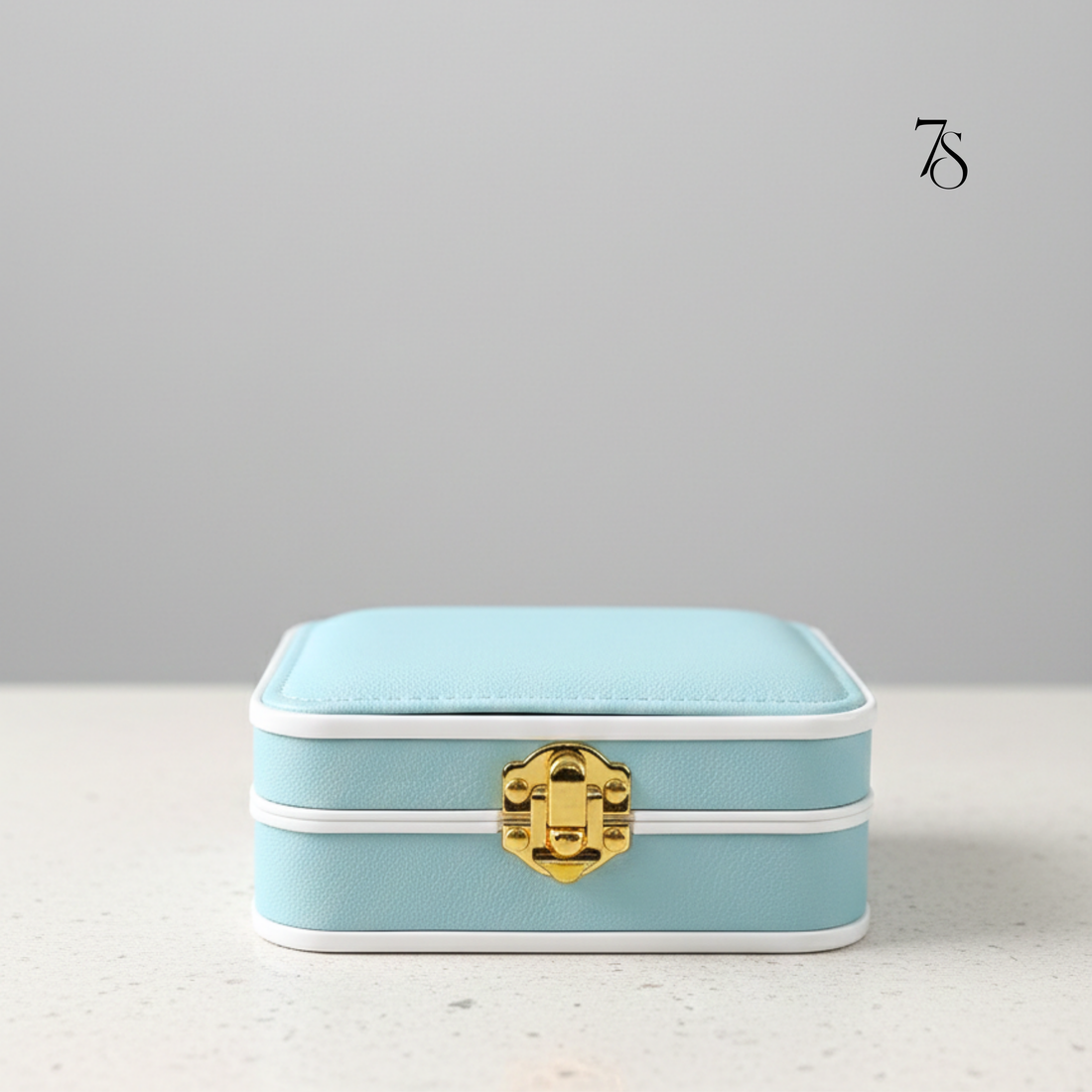 Essential Travel Jewellery Organizer