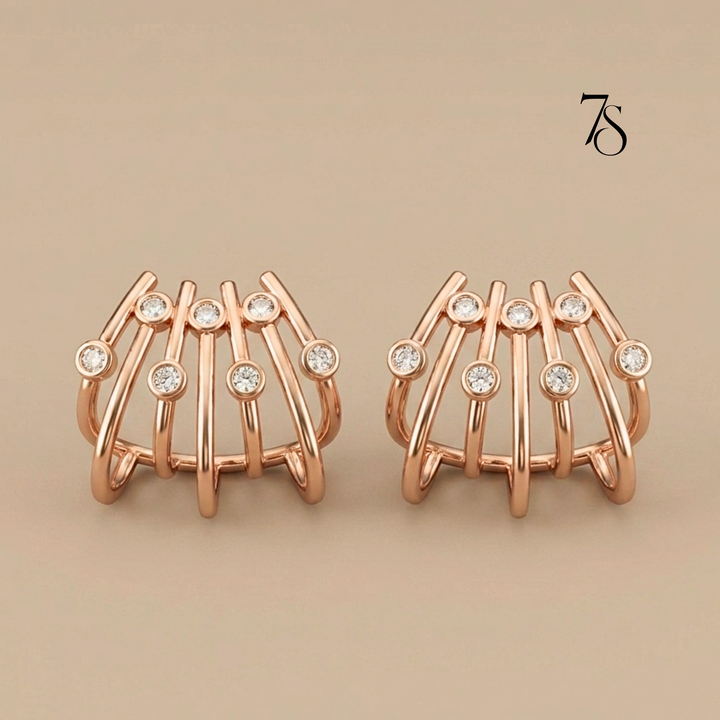Claw Earrings